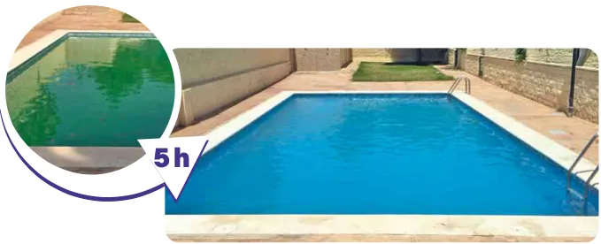 Catalisador Piscimar PM-420 Actibon Shock