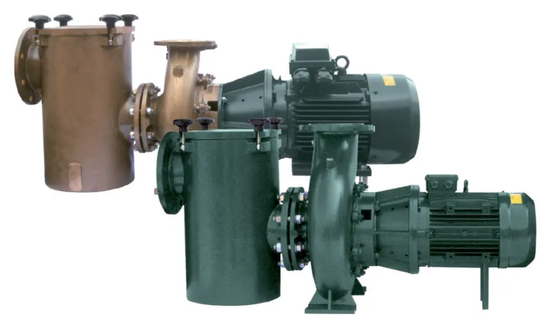 Bomba de ferro fundido FD 18 5,5 CV