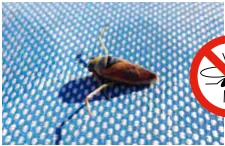 Armadilha para vespas