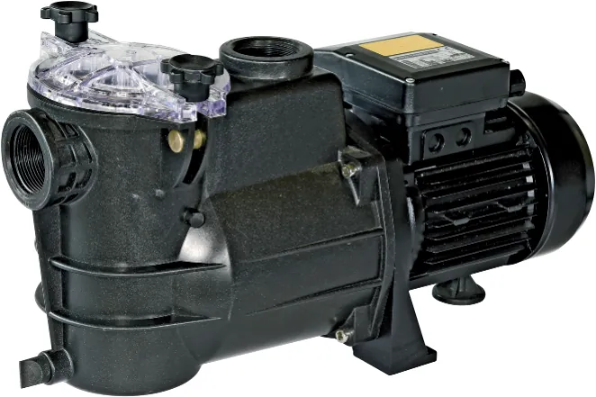 Bomba de filtração Noryl MF/230 0,33 CV