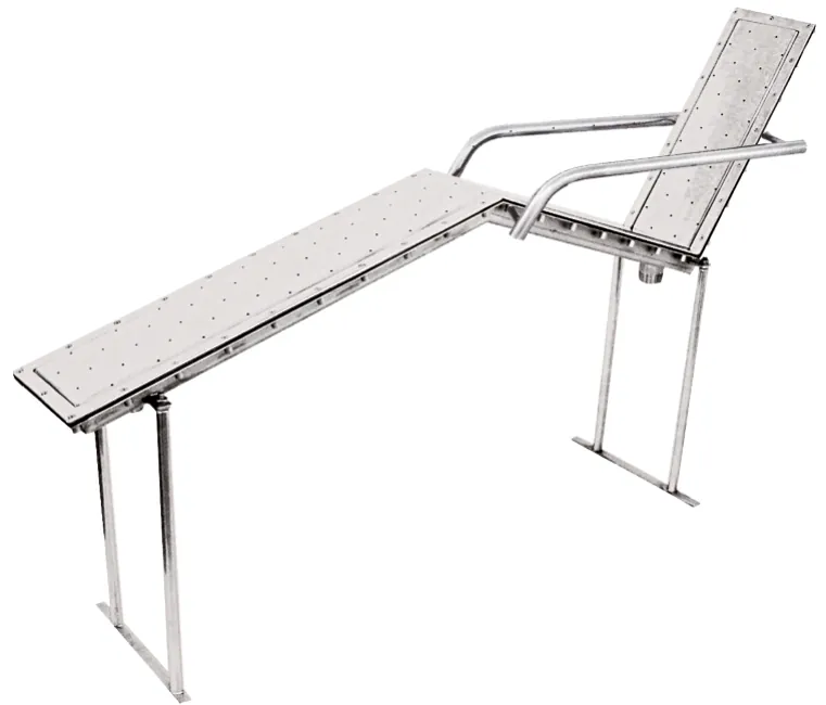 Cama de hidromassagem a ar standard com corrimão