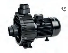 Bomba Bravus 300 3 cv Mono